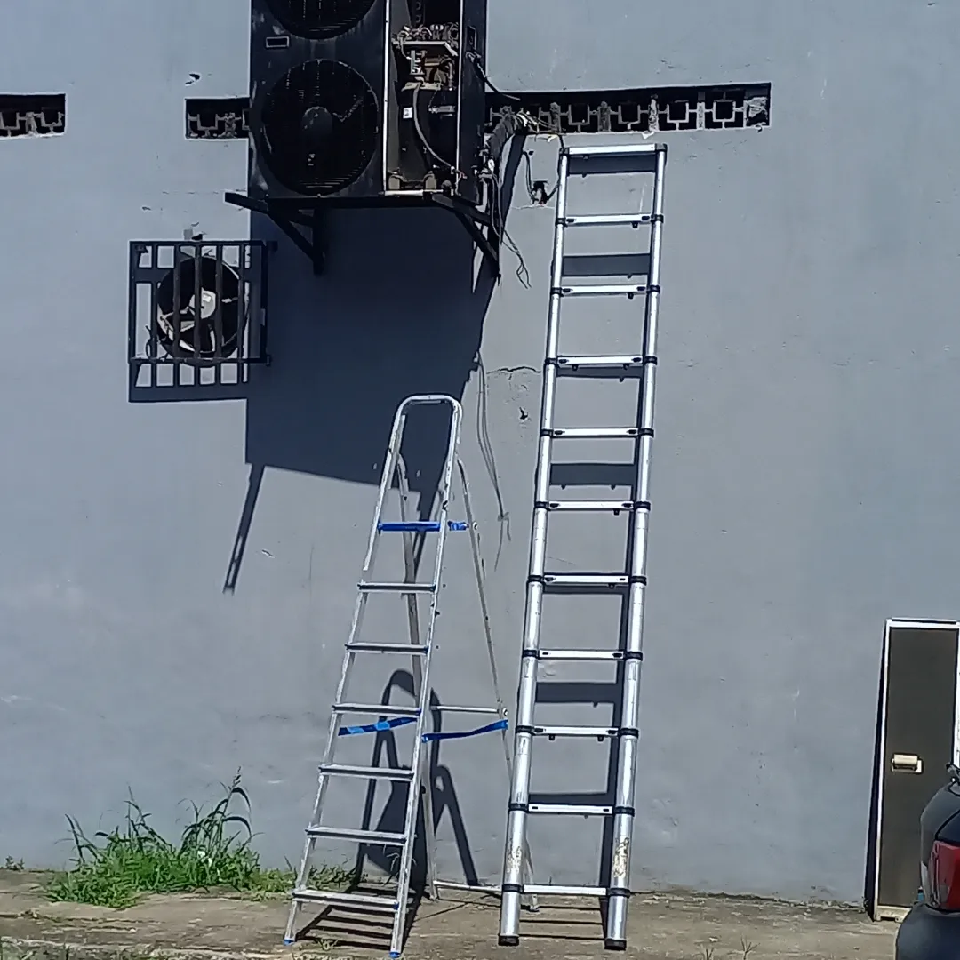 IMG_20230312_000829_659